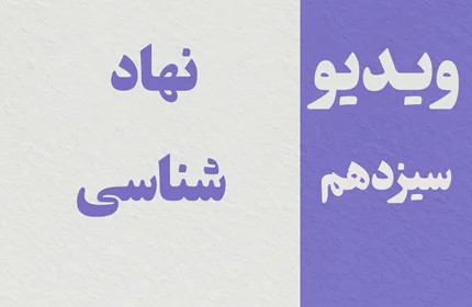 کلیپ سیزدهم - نهاد شناسی